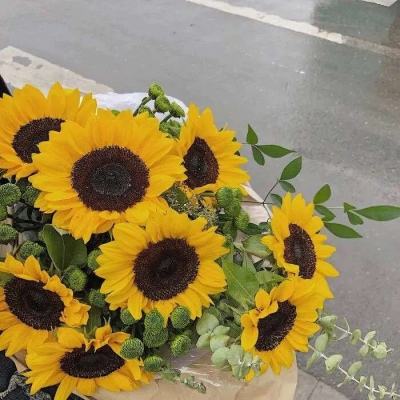 新澳门游戏网站入口手机app下载