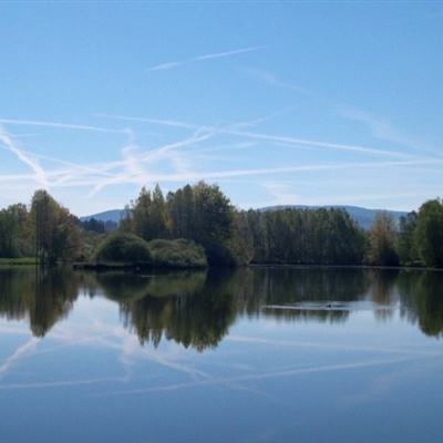 万博全站官网app最新版下载