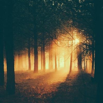 博鱼·(boyu)体育官方网站