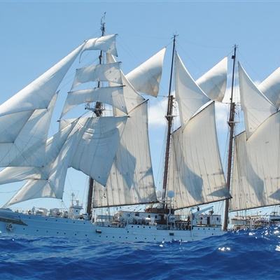 澳门·威斯尼斯wns888入口