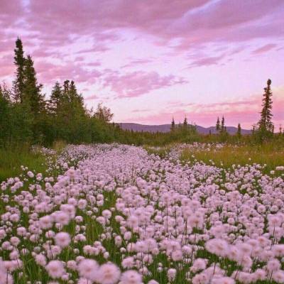 乐彩网app官方正版下载